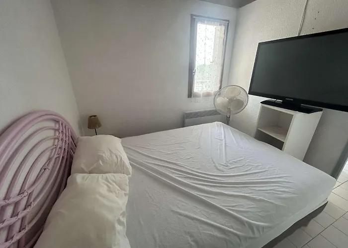 Appt 3 Pieces 6 Couchages Cap D'agde Ct580-434